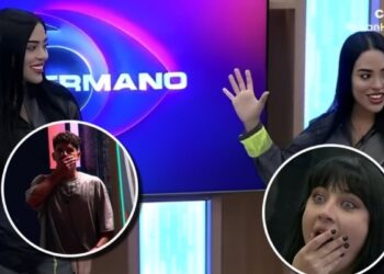 Gemelas de Gran Hermano