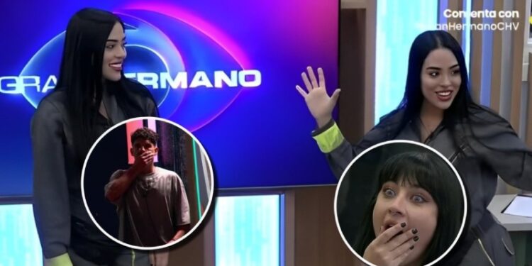 Gemelas de Gran Hermano
