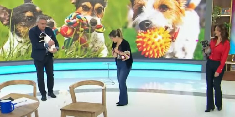 Michelle Adam Fail en Tu Día