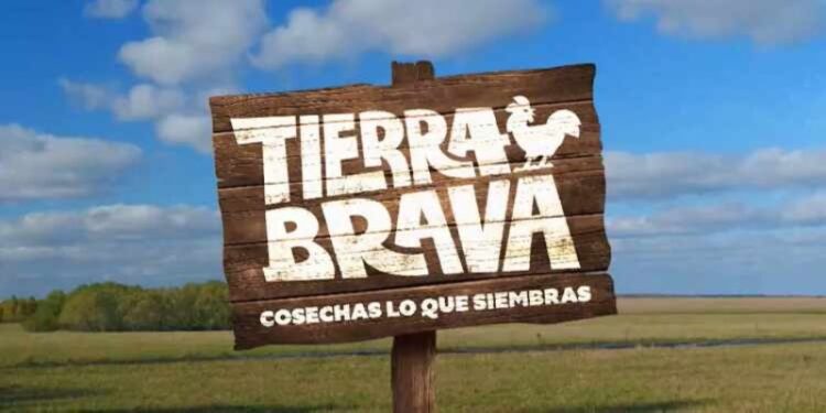 ni tan zorrón tierra brava
