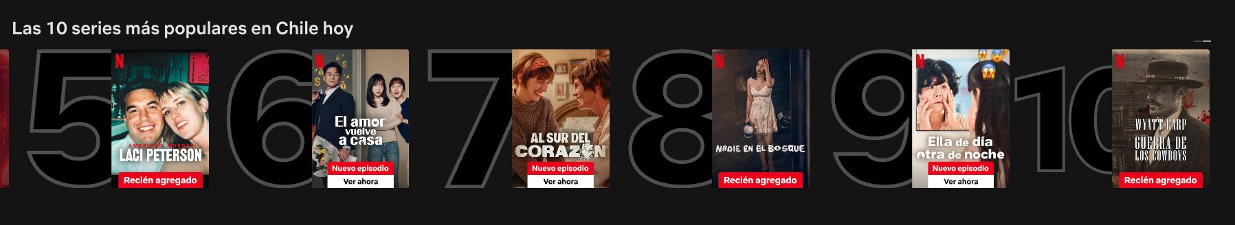 Al Sur del Corazón en Netflix