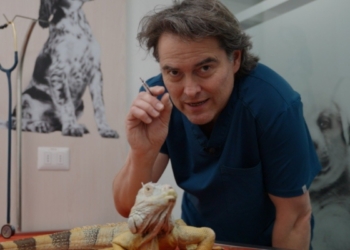 Sebastián Jiménez en Acción Animal