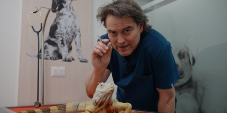 Sebastián Jiménez en Acción Animal