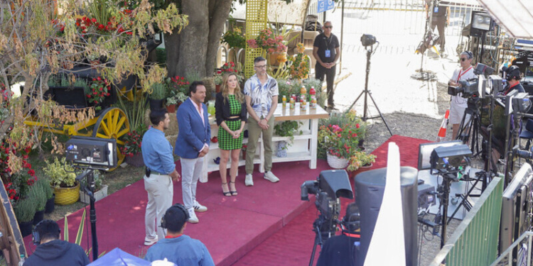 audiencia buenos días a todos