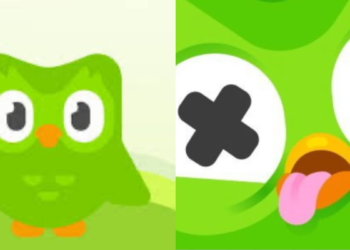 Búho Duolingo
