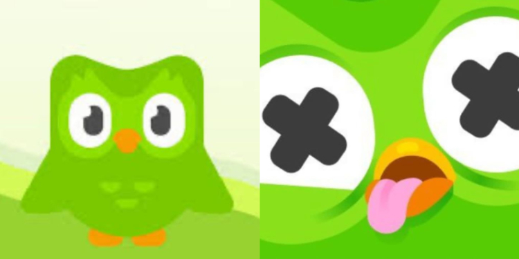 Búho Duolingo