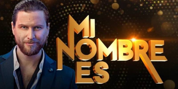 viña 2025 tvn