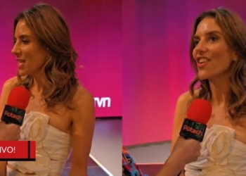 "Chile conectado" María Luisa Godoy