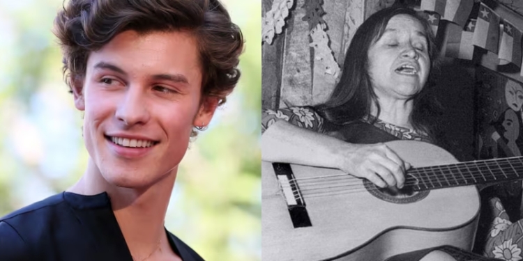 Shawn Mendes pidió disculpas a Chile