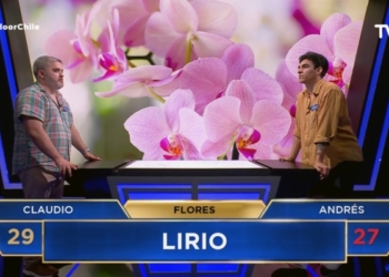 Errroes en The Floor Chile