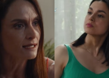 Vanessa celosa de Diana en El Jardín de Olivia