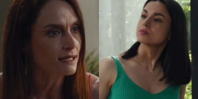 Vanessa celosa de Diana en El Jardín de Olivia