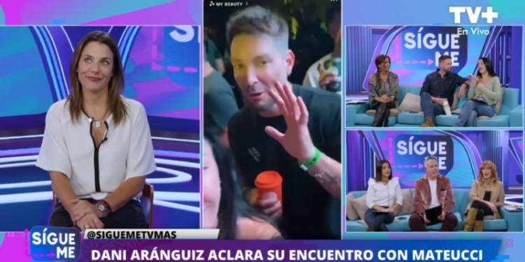 Luis Mateucci y Daniela Aránguiz aclaran salida