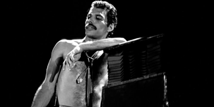 Freddie