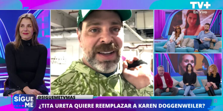 neme tita ureta viña
