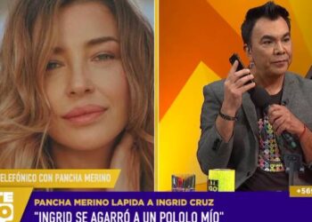 pancha merino ingrid