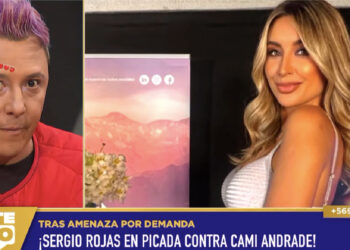 sergio rojas camila andrade