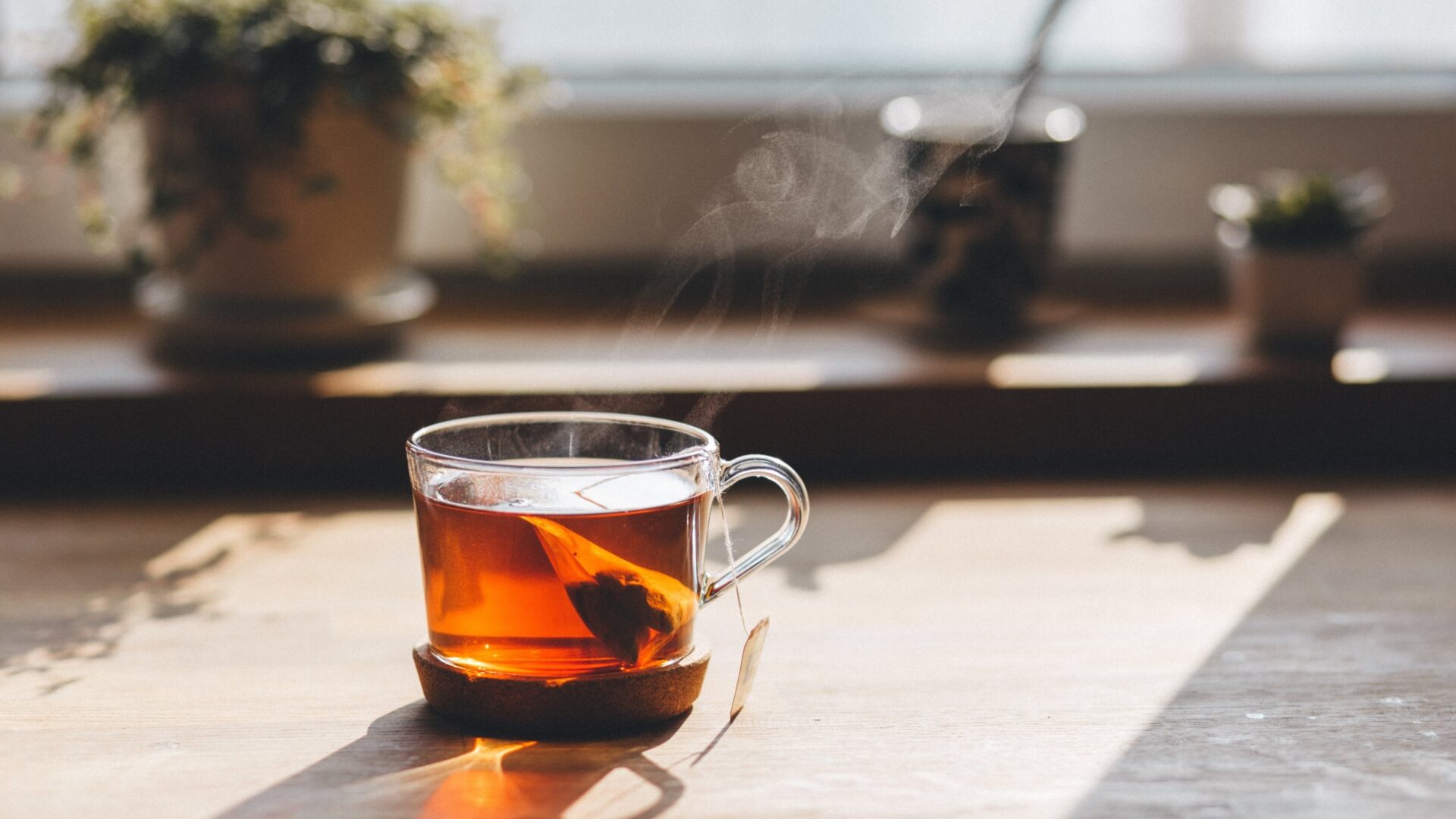 Mitos y beneficios del consumo del té