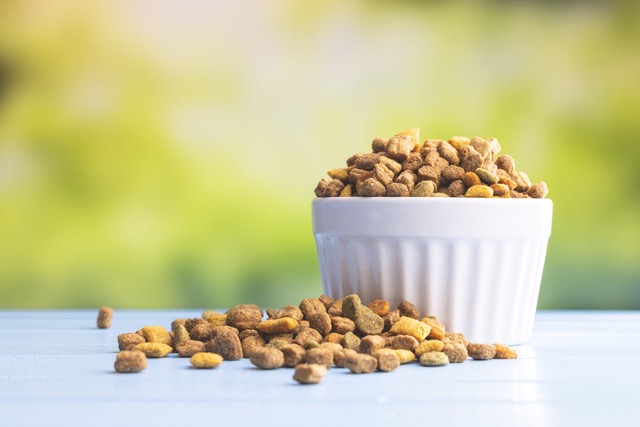 como elegir comida gato 2
