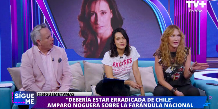 catalina pulido amparo noguera