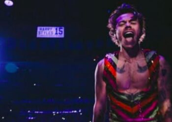 Harry Styles actriz