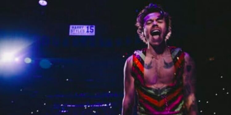 Harry Styles actriz