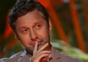 Vicuña animador