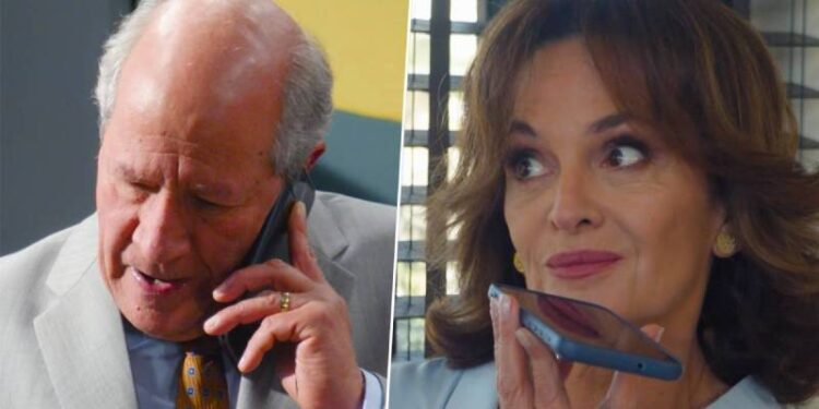 confesión bernardita el jardín de olivia