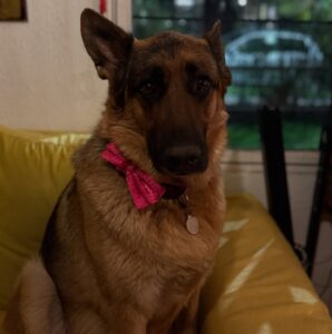 Lorenza