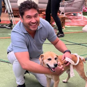 hachi recién rescatado