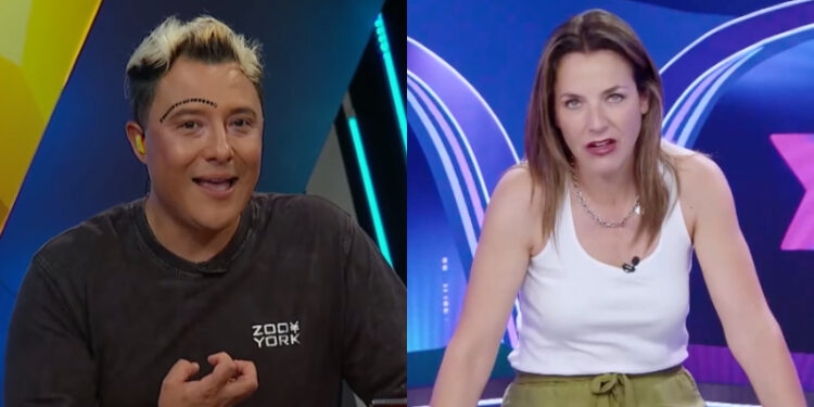 consejo sergio rojas julia vial
