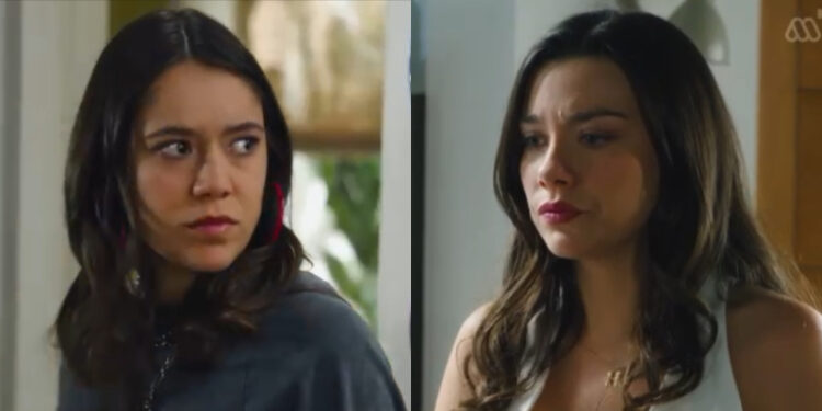 plan karina luis emilio jardín de olivia