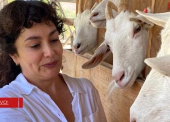 Tamara Acosta en Sabingo