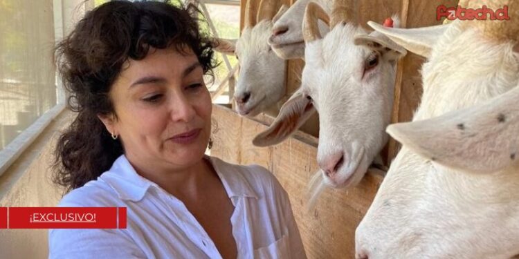 Tamara Acosta en Sabingo