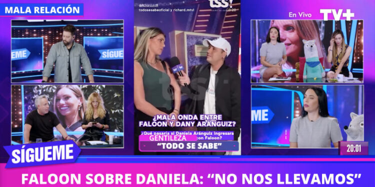 daniela aránguiz faloon