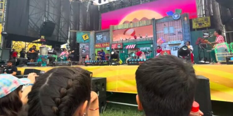 Lollapalloza 31