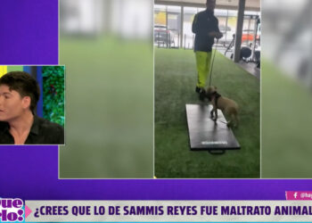 cuco cerda pelea sammis reyes