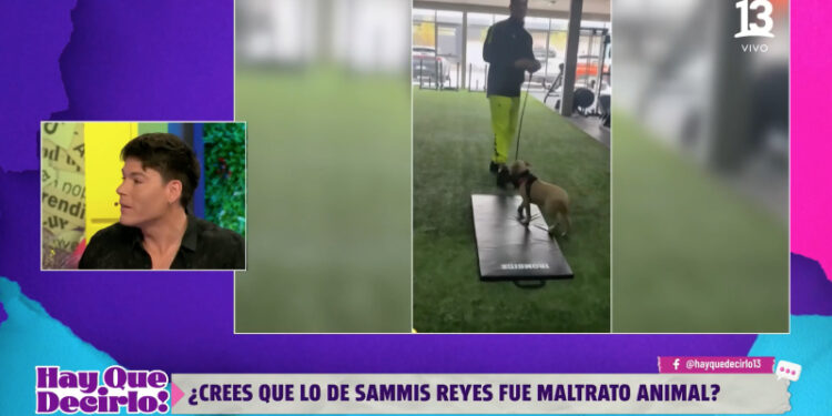 cuco cerda pelea sammis reyes