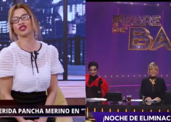Pancha Merino y su crítica