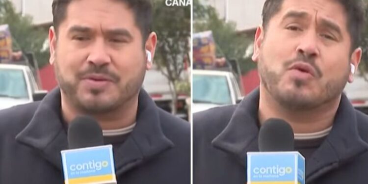 Gino Costa
