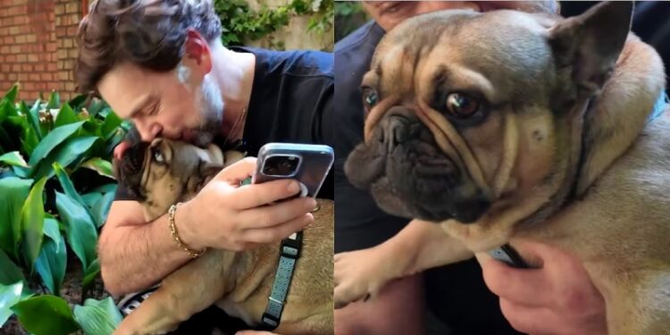La decisión legal de Neme contra Clínica Veterinaria