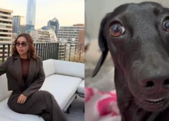 Memes del penthouse de Naya Fácil