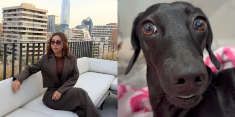 Memes del penthouse de Naya Fácil